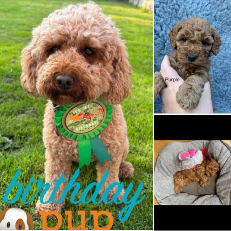 Happy 3rd Birthday!